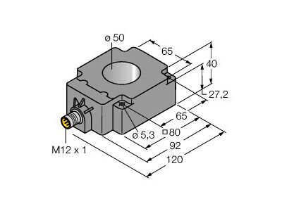 BI50R-Q80-2LU-H1141/S950