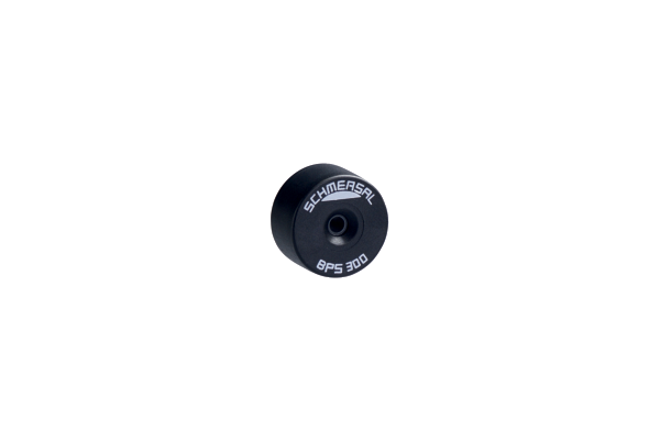 BPS 300