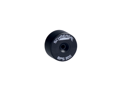 BPS 300