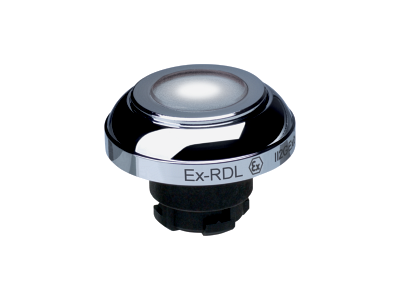 EX-RDLWS