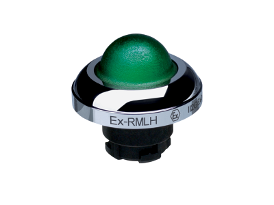 EX-RMLHGN