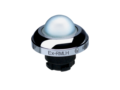 EX-RMLHWS