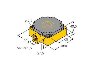 NI40-CP80-Y1/S100