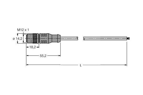 RSSW 455-1M