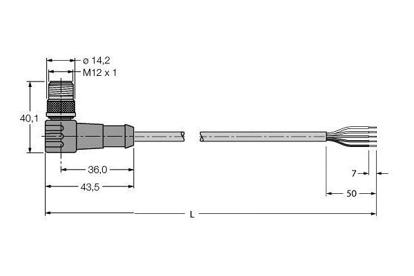 WSC 572-10M