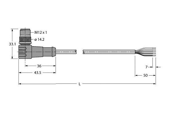 WSC5701-10M